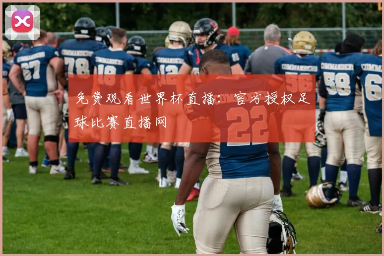 免费观看世界杯直播：官方授权足球比赛直播网